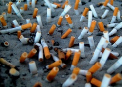 Up in Smoke: Teen Tobacco Smoking in LA